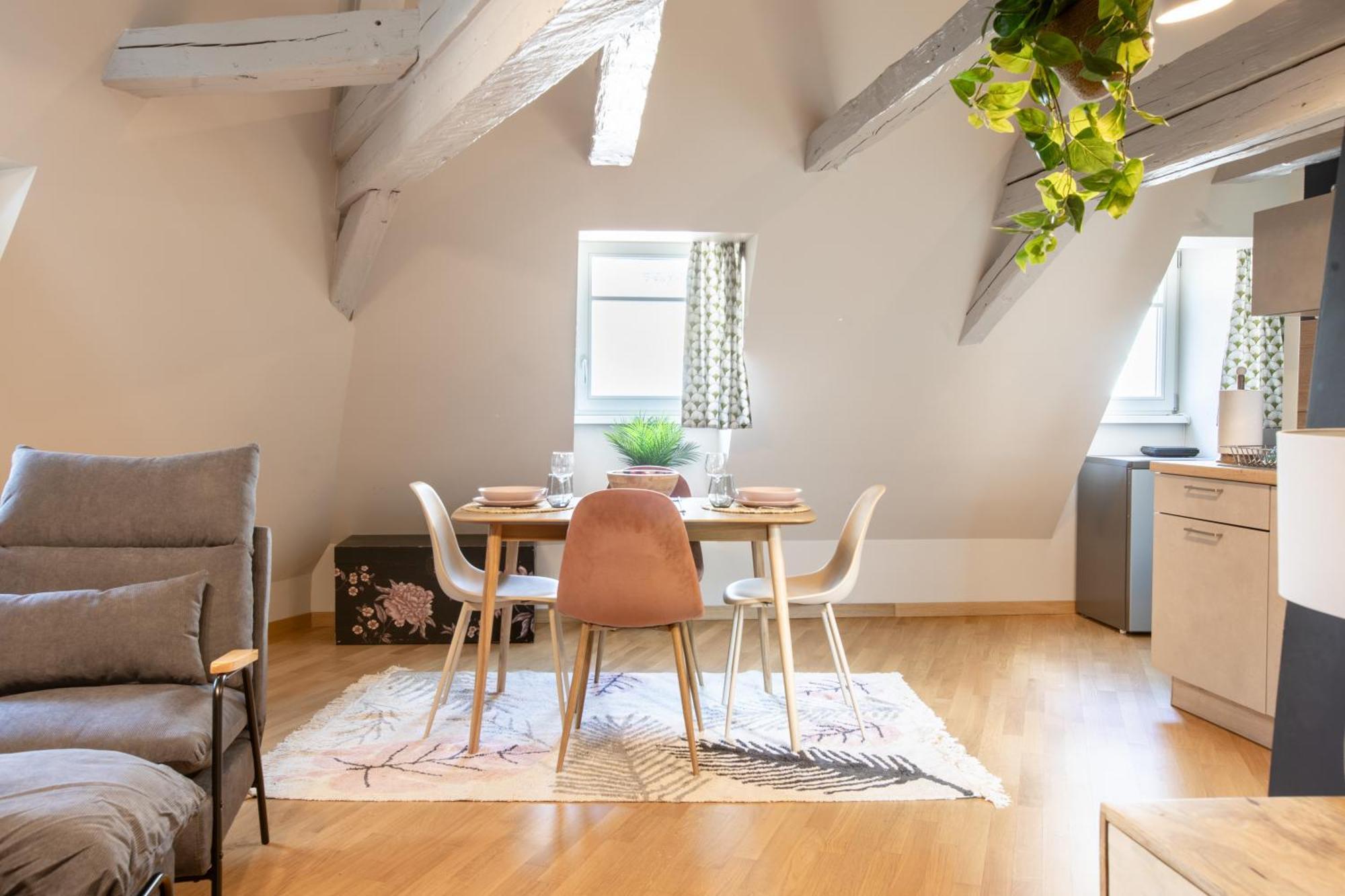 Duplex Atypique Au Coeur De Mulhouse Apartment Luaran gambar