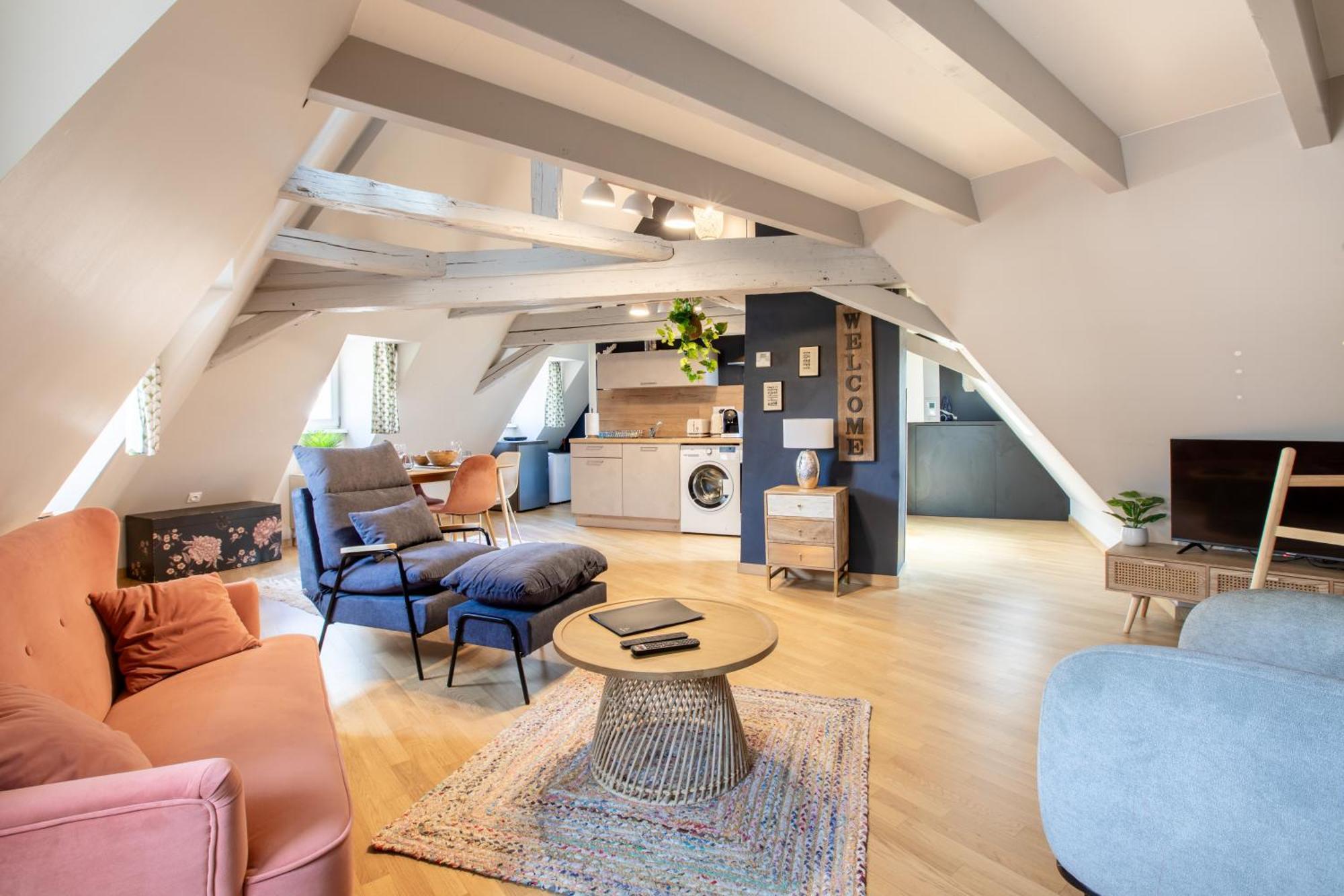 Duplex Atypique Au Coeur De Mulhouse Apartment Luaran gambar